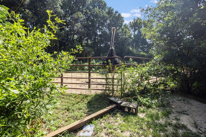 Animal Ed.Ventures animal sanctuary in Coats, NC