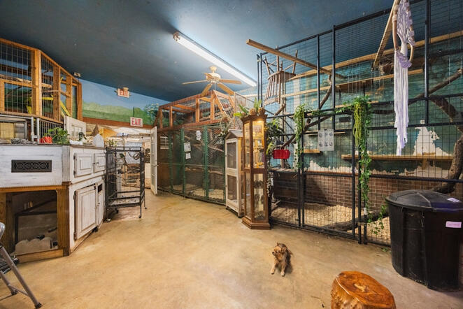 Animal Ed.Ventures animal sanctuary in Coats, NC