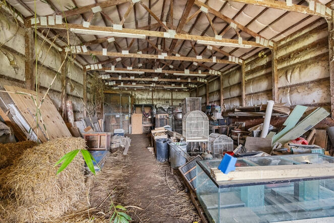 Animal Ed.Ventures animal sanctuary in Coats, NC