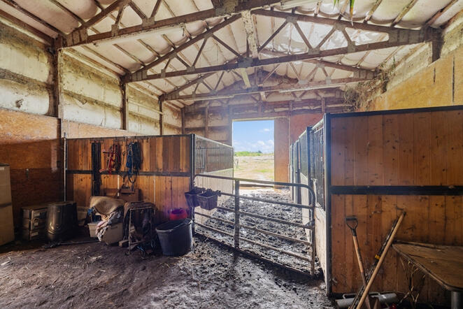 Animal Ed.Ventures animal sanctuary in Coats, NC