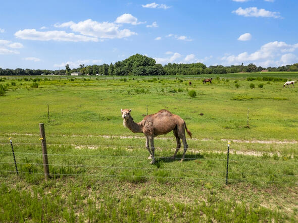 Animal Ed.Ventures animal sanctuary in Coats, NC